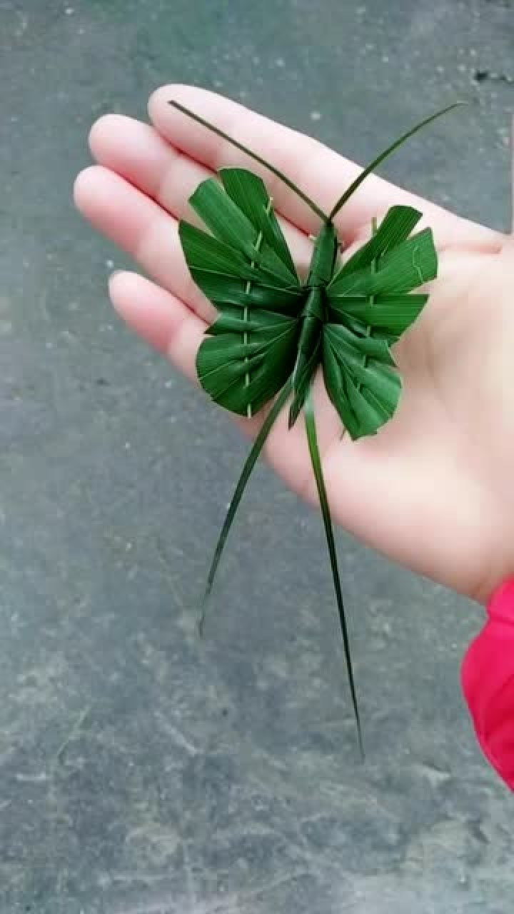 農村妹子用粽葉編出的蝴蝶和蜻蜓,簡直惟妙惟肖,這手太巧了!