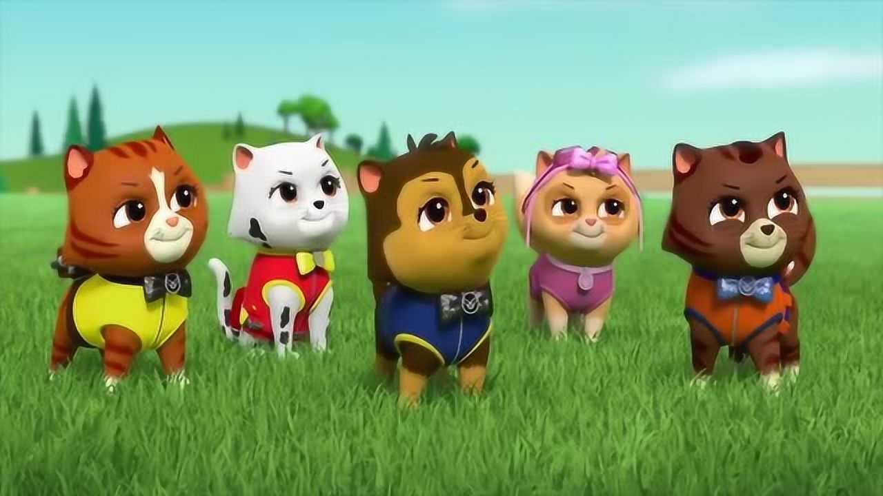 汪汪队立大功:猫咪总动员,可主角不是猫咪而是狗狗们哦