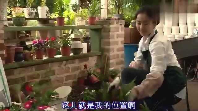 IRIS:这种看似漂亮的花,实际上是一种伤心的花!