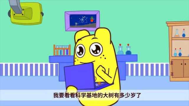 咕力咕力:来看看大树的年轮