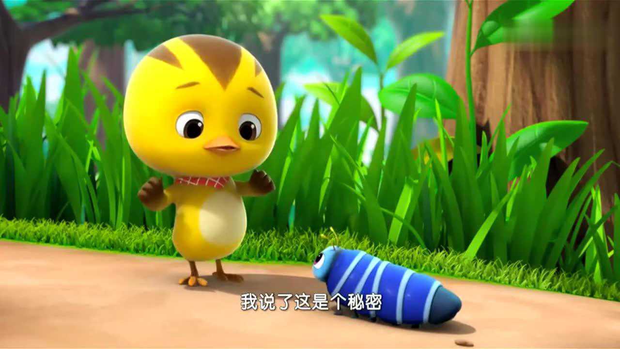 萌鸡小队:麦琪追着让豆子展开让他看看