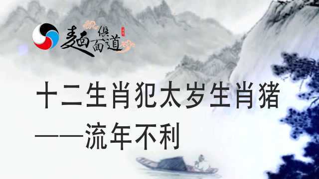 十二生肖犯太岁生肖猪——流年不利