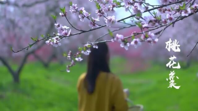 90后美女一道特别美味的一道菜,桃花羹