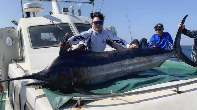 一根细鱼线,钓起300多斤大马林鱼