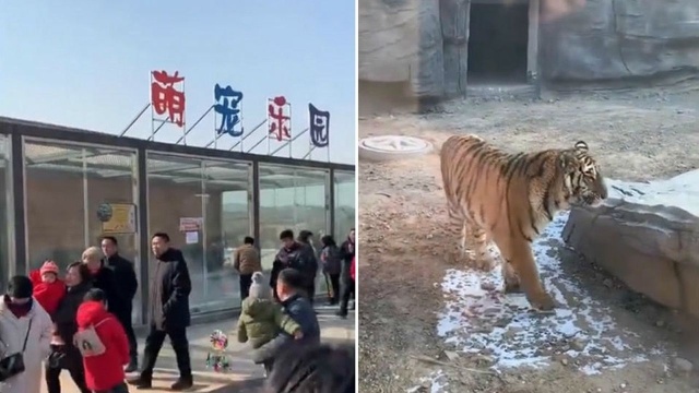 邯郸一野生动物园开园 100余种稀有野生动物惊艳亮相