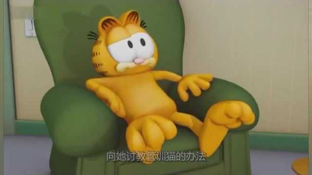 今天加菲猫四十一岁啦~陪伴我们长大的猫猫都已经41岁了