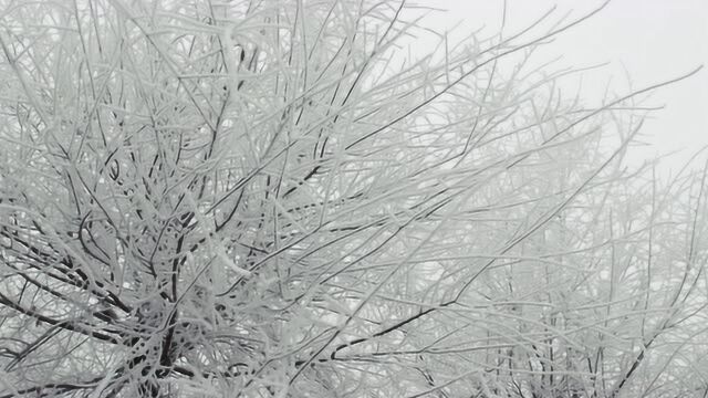 看 家乡的雪景