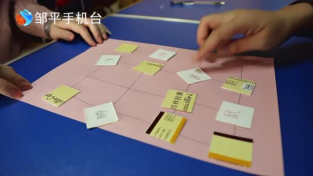 回忆童年三——动物棋