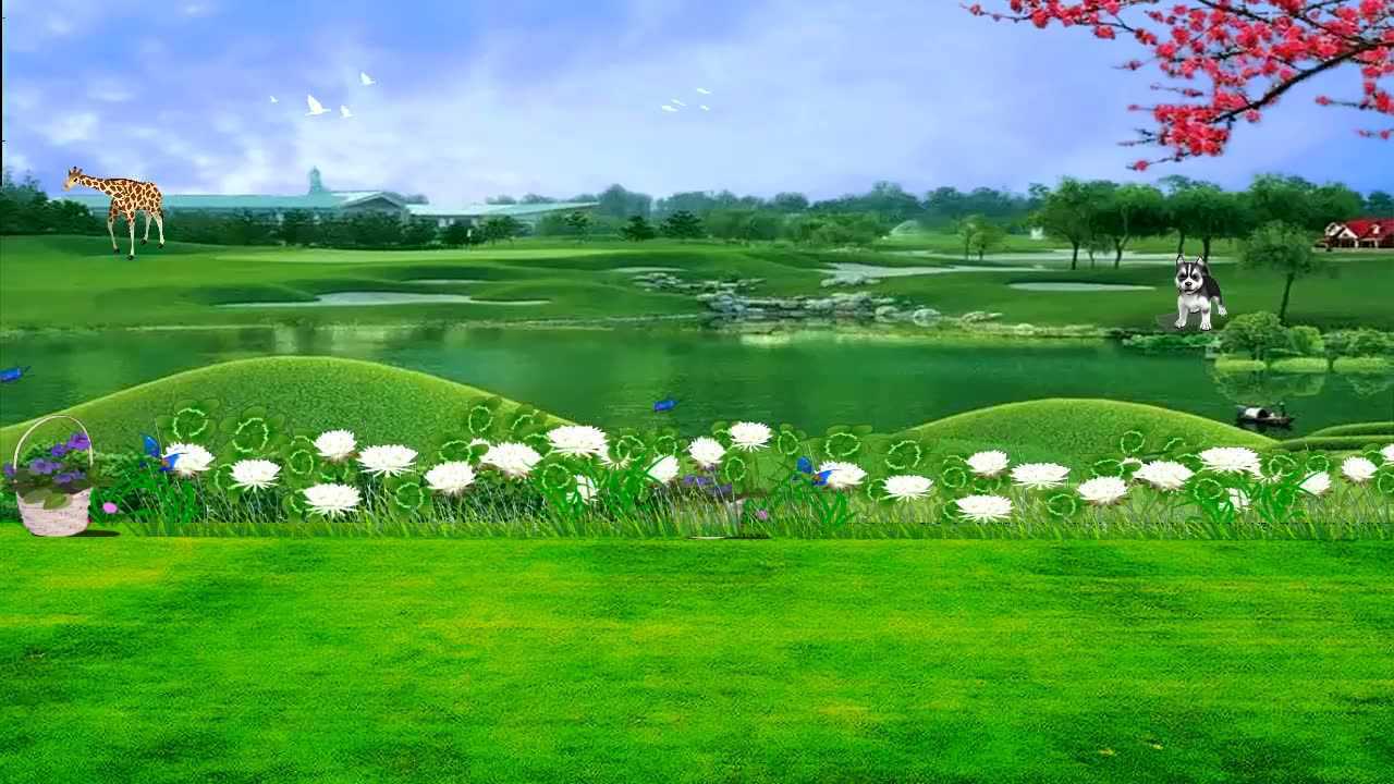 广场舞绿色草原背景图图片