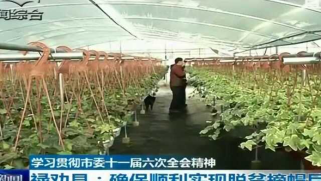 禄劝县:确保顺利实现脱贫摘帽目标