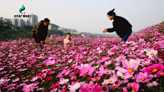 2019年封开融媒体中心贺年宣传片