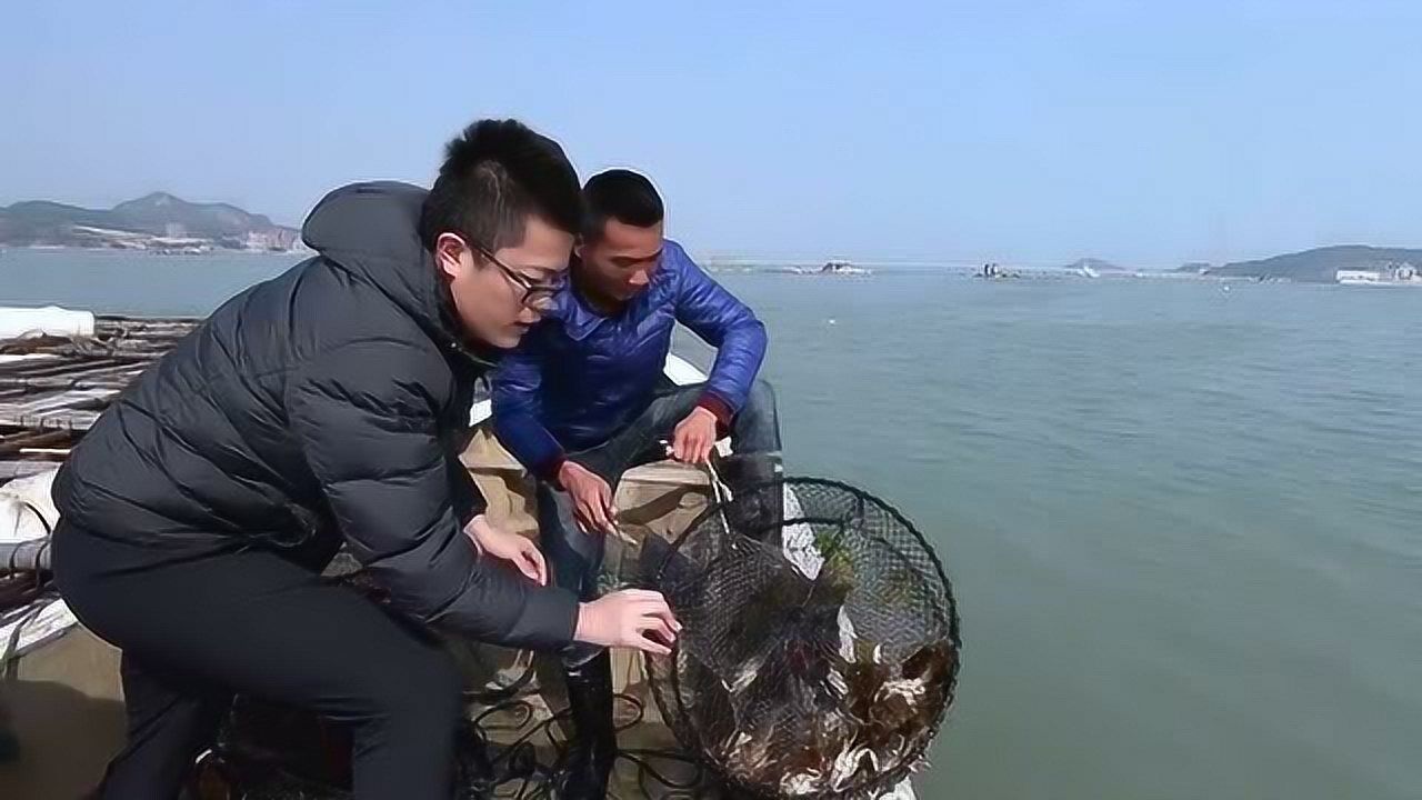 赶海阿烽首次带粉丝出海刚拉起蟹笼新鲜海货真不少