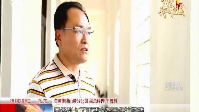 奋进正当时:握胶刀存匠心 坚守胶林的“割胶状元”