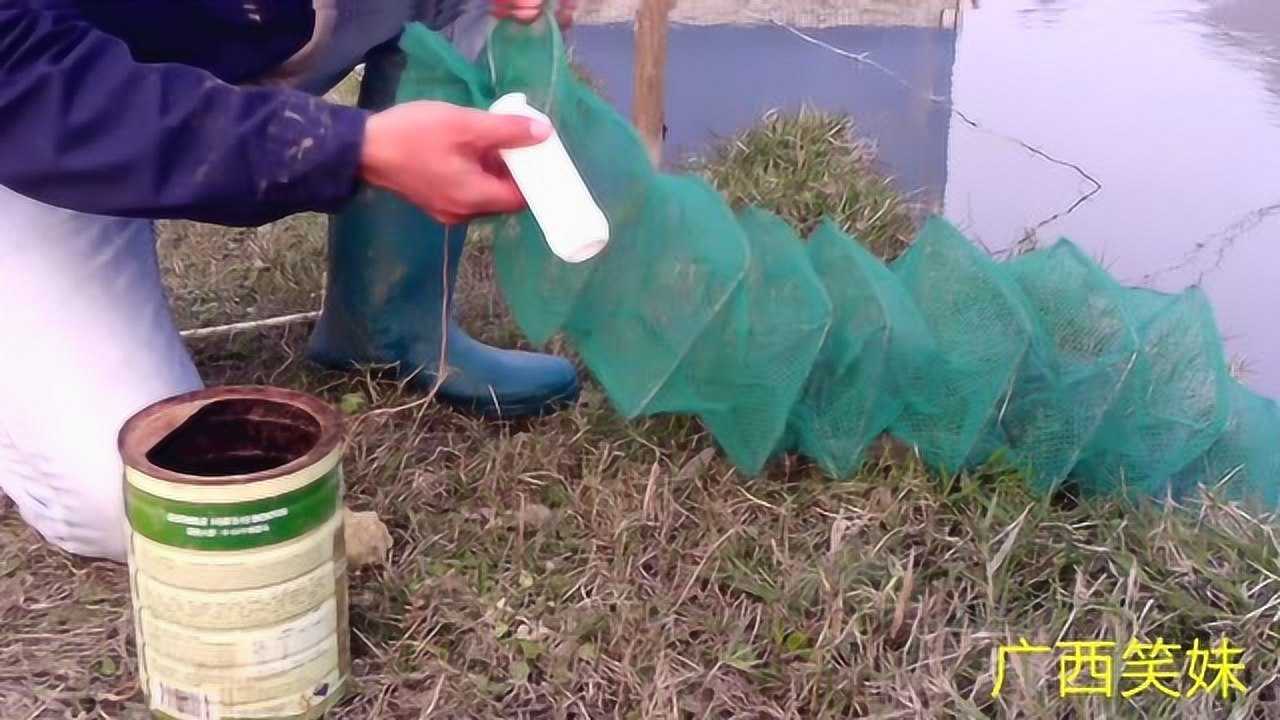 听说把蚯蚓放进地笼能捕到泥鳅和黄鳝看看效果如何