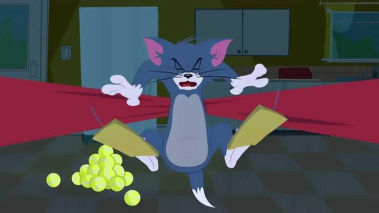 新猫和老鼠:汤姆踩中老鼠夹子痛死它了