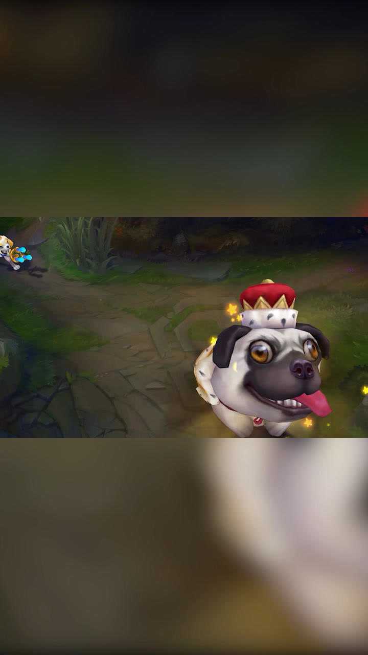 lol愚人节4款皮肤一览表小鱼人这大狗萌飞了