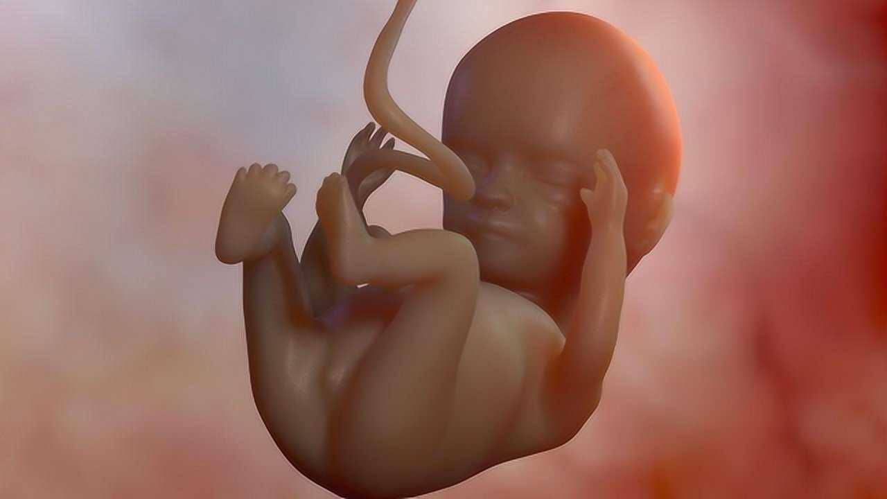 为什么胎宝宝要踢妈妈的肚子这几个原因你了解吗简直太萌了吧