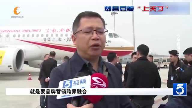 成都豆瓣“上天” 成都航空 “鹃城号”主题飞机已首航