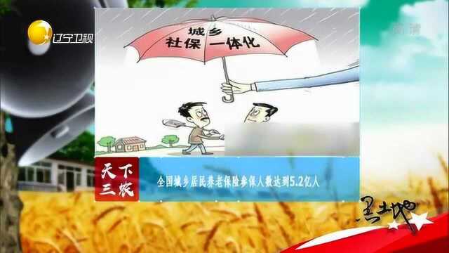 全国城乡居民养老保险参保人数达到5.2亿人