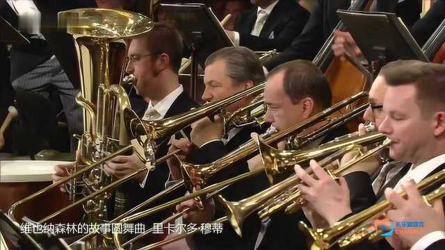 《维也纳森林的故事圆舞曲》第二部分