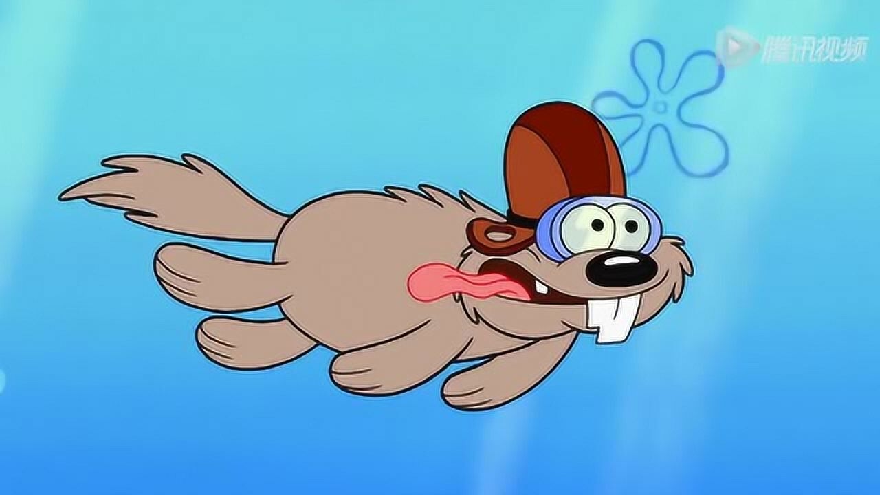 《海绵宝宝》珊迪要破世界纪录,让海绵宝宝去拿相机帮她记录下来