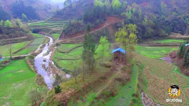 航拍大山里一户人家,独占一个小山头,一家人过着宁静的大山生活