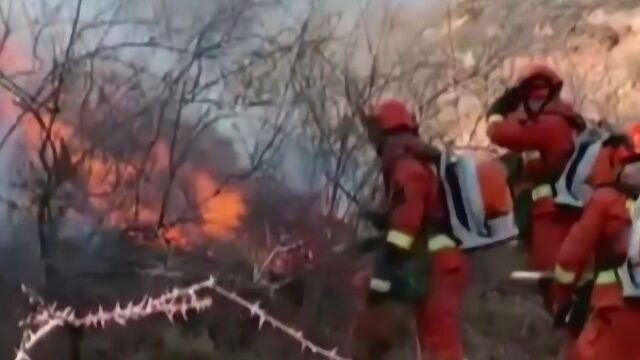 山西沁源森林大火 3800余群众转移