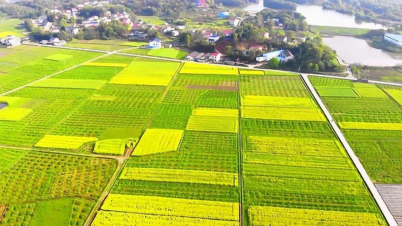 美丽乡村杨家滩村浏阳市洞阳镇
