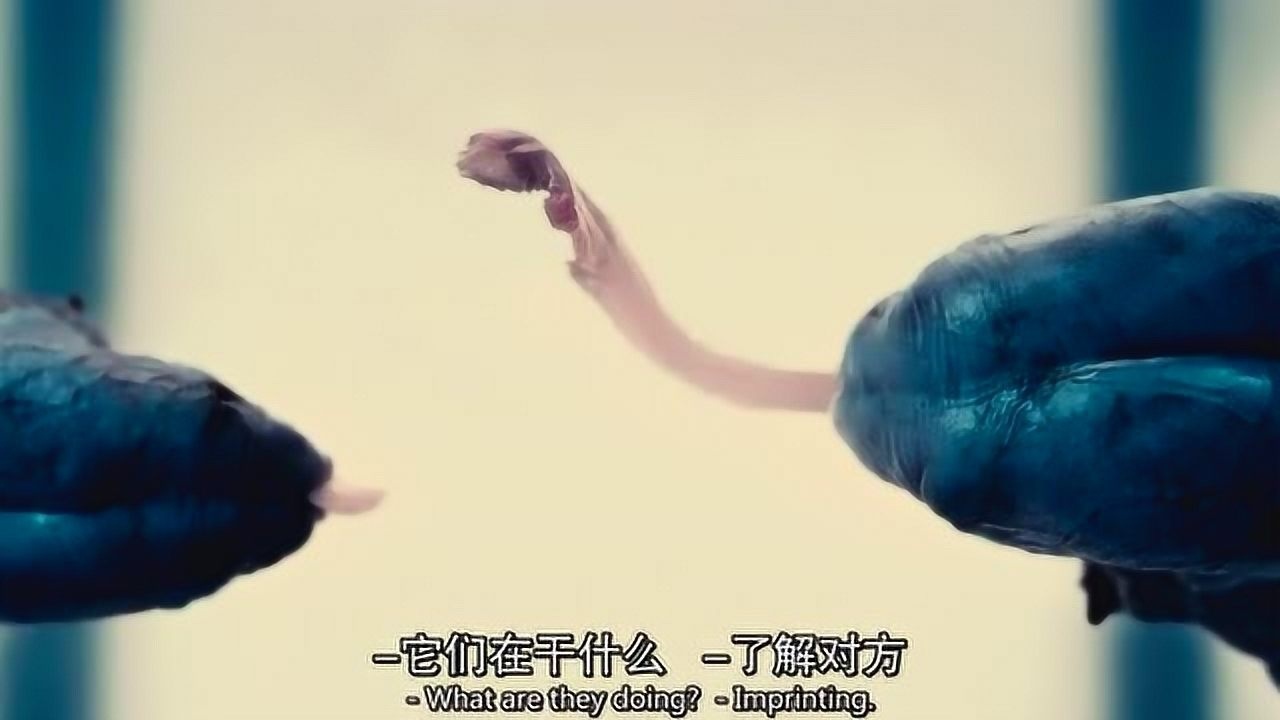 《人兽杂交》人兽杂交的过程，简直太壮观了_腾讯视频