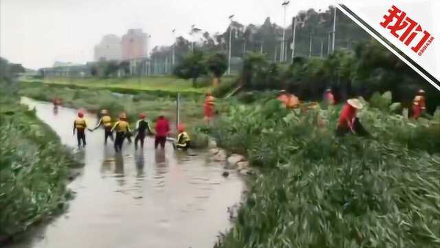 深圳暴雨引发洪水已致10人死亡 巨灾保险每人将赔付25万元