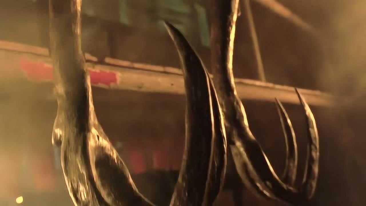 这一对琵琶钩,就是用来锁住任我行琵琶骨的刑具