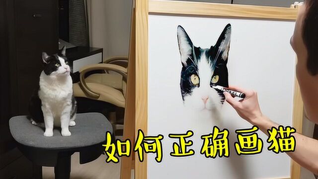 大神教你画出3D效果的猫咪,画面简直太“逼真”,猫主子好配合!