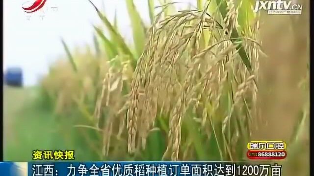 江西力争全省优质稻种植订单面积达到1200万亩