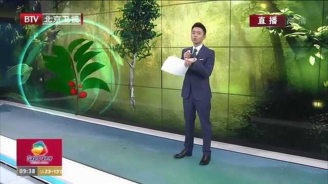 世园会植物馆:热带雨林中的神秘毒物“见血封喉”