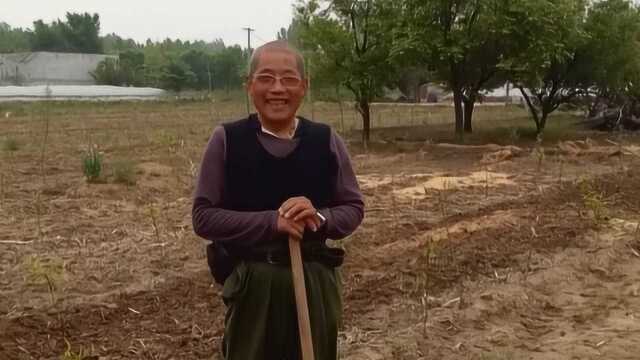 山东农村大爷在山西大同地质勘察大队退休,现在一个月多少退休金