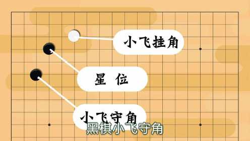 第27集 小喵小汪学围棋_小喵小汪学围棋—聂卫平围棋道场_1080p在线