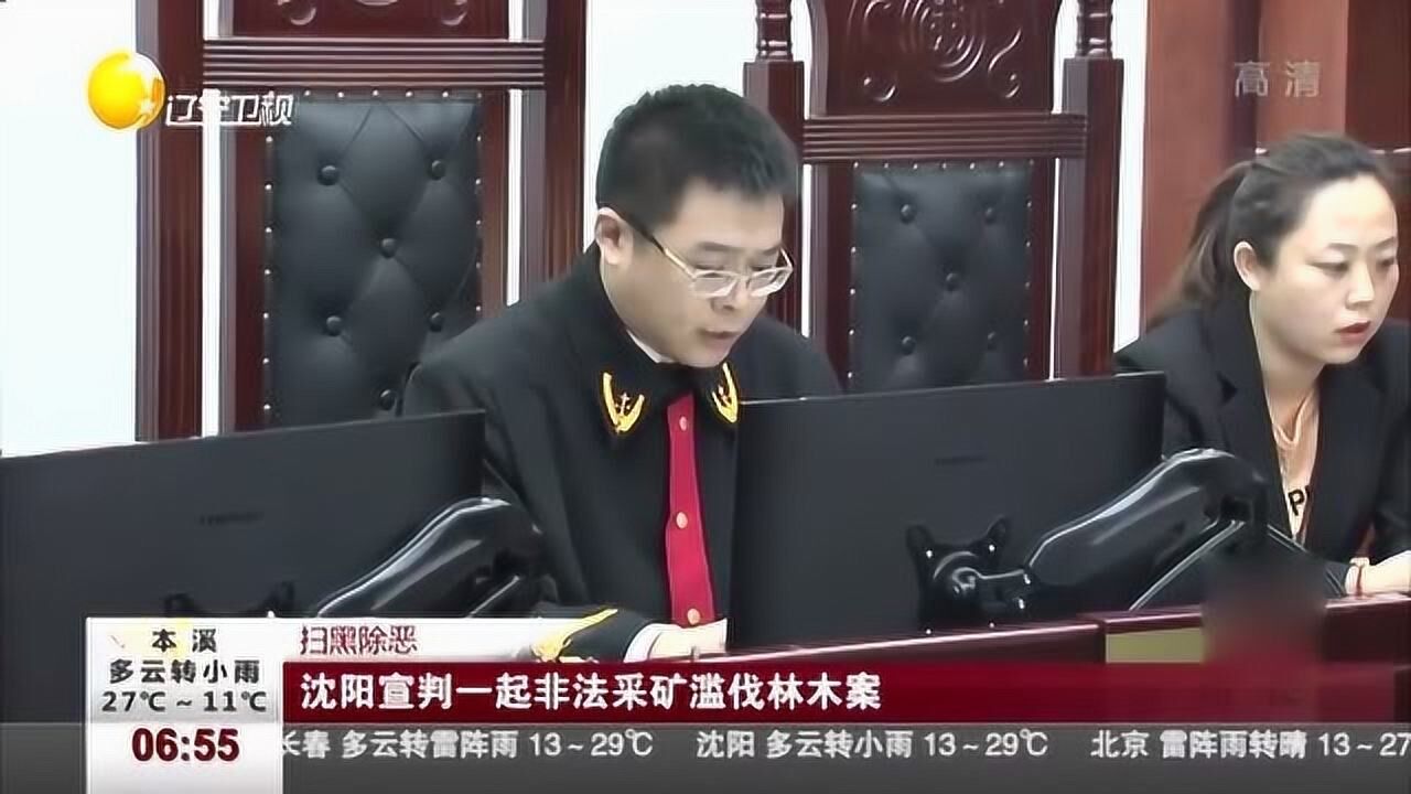 沈阳苏家屯:宣判一起非法采矿滥伐林木案腾讯视频