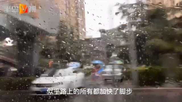 瓢泼大雨!这场面绝对不一般