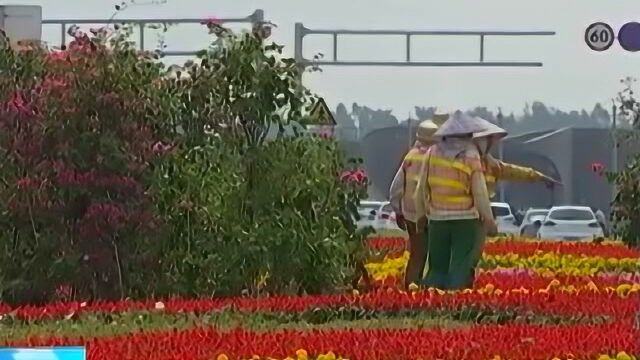 市委专题会研究江东新区道路建设工作