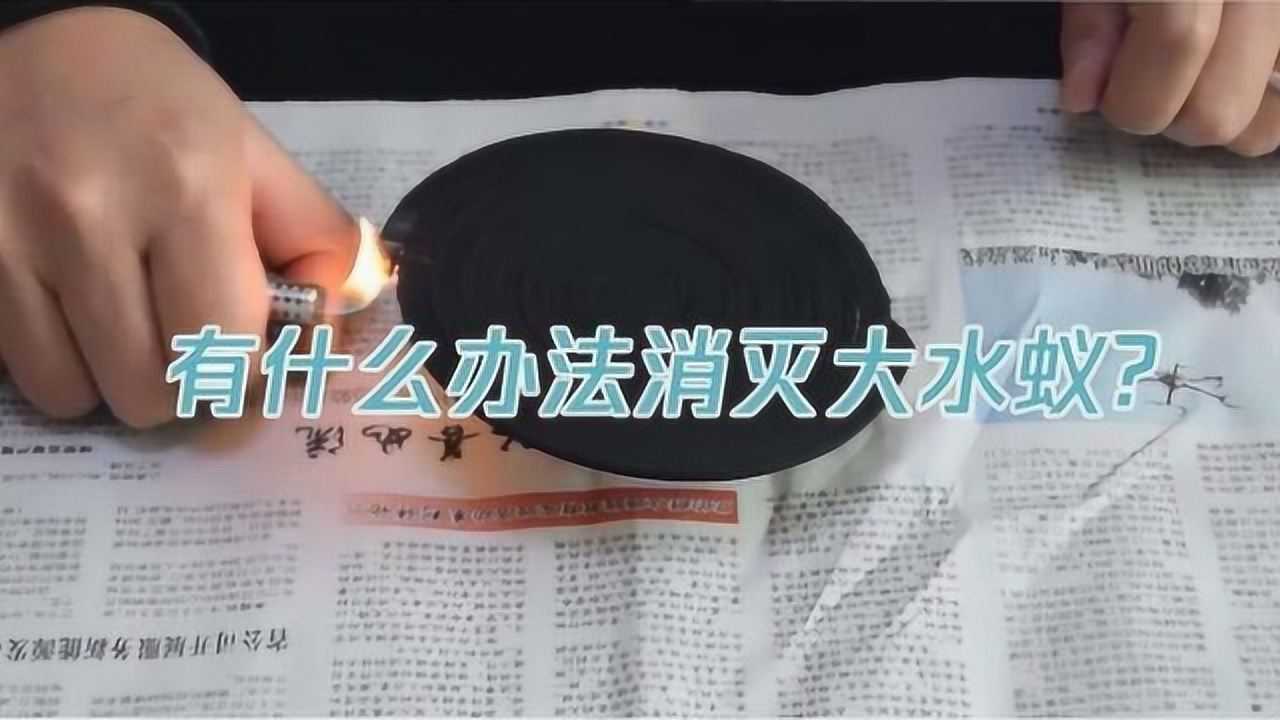 有什么办法消灭大水蚁