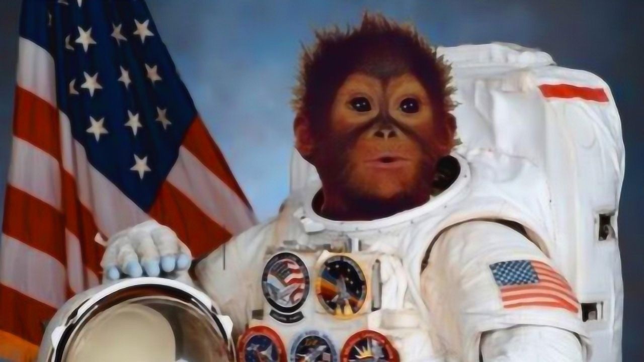 50年前被美国送上太空的黑猩猩,现在怎么样了?看完心情复杂