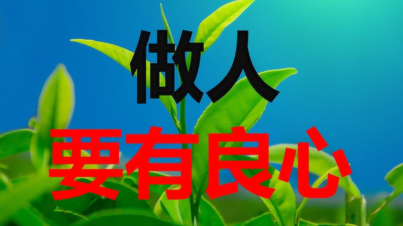 做人,要有良心,做事,别寒了人心,句句都是人生忠告!