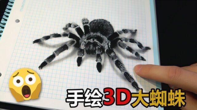 这只大蜘蛛原来是画的!大神的超逼真3D立体画