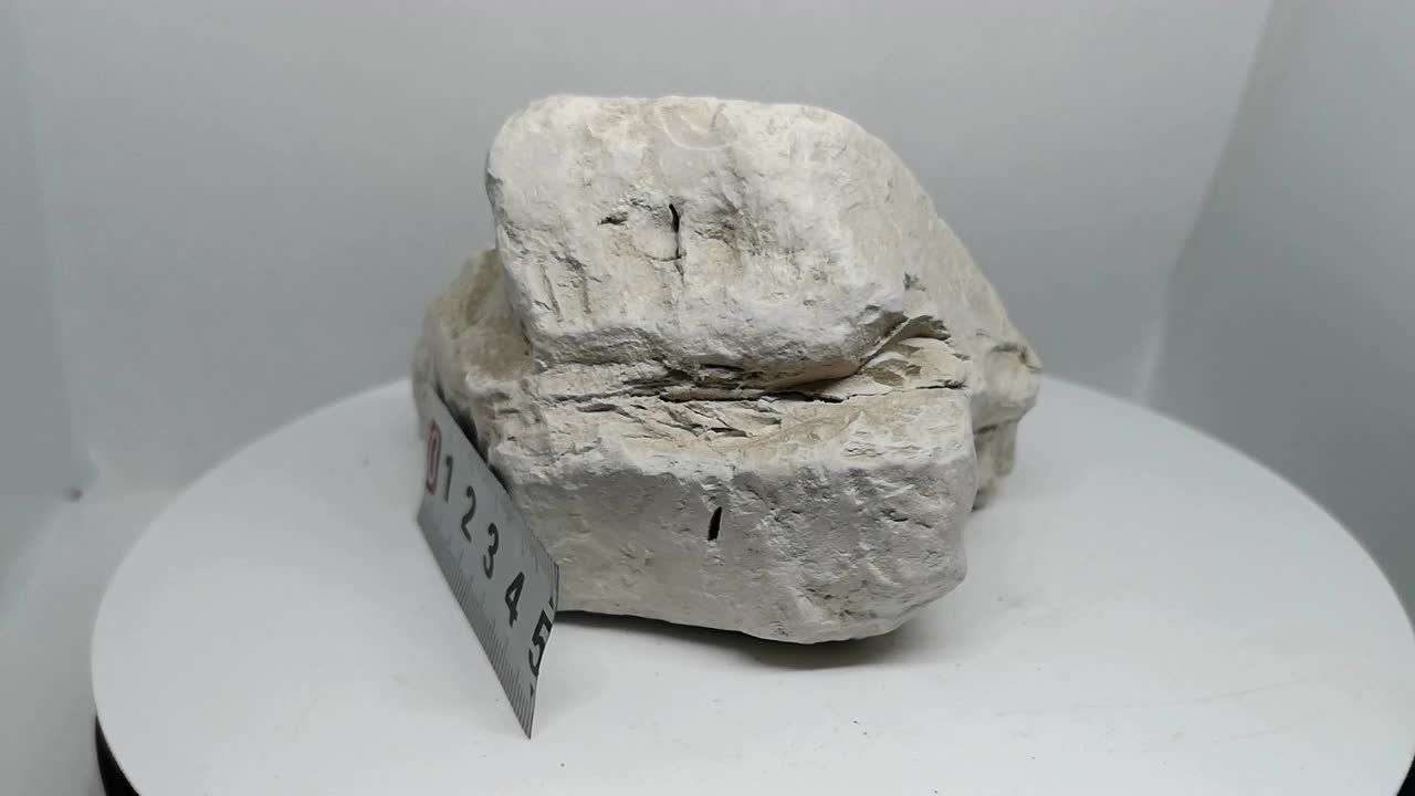 高岭土手标本