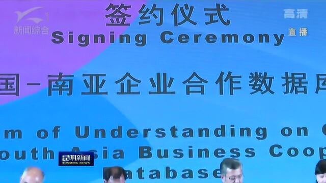 2019商洽会 第14届中国南亚商务论坛在昆举行