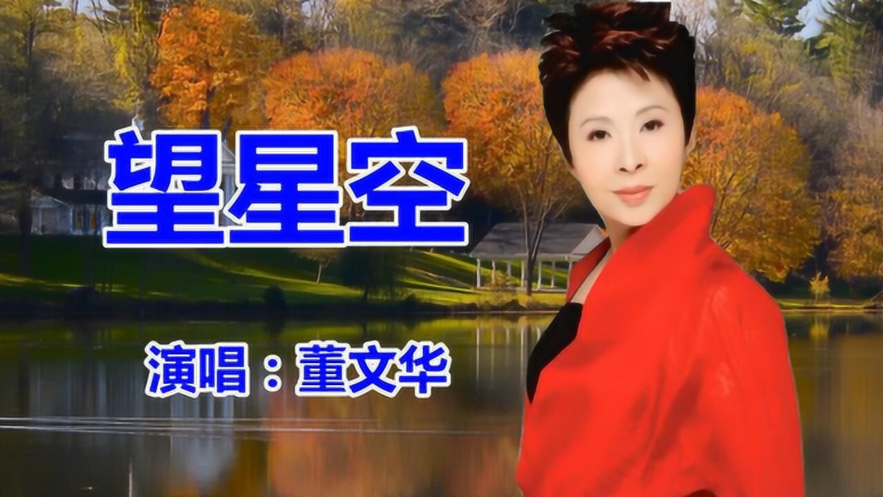 董文华望星空经典歌曲