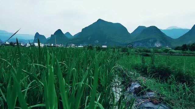 田园风光,美景值得收藏.