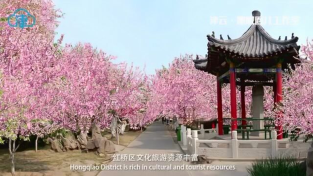 津云ⷮŠ黑眼圈儿工作室 追溯津门历史,品读津卫摇篮