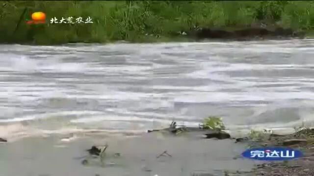 黑龙江逊克农场受强降雨天气影响,山洪来势汹汹,居民全部撤离