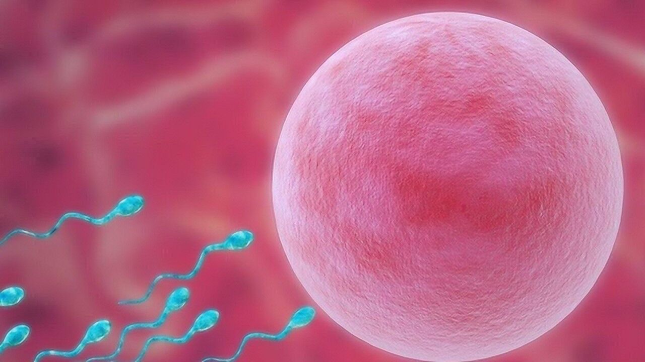 女性“受精”全过程,3D动画还原一目了然,仔细看别眨眼_腾讯视频